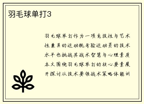 羽毛球单打3