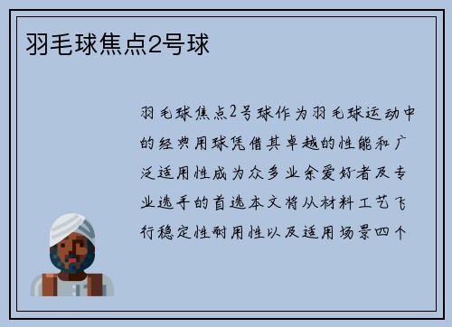 羽毛球焦点2号球
